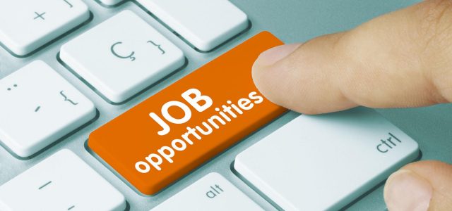 Job opportunities Sursa FOTO: MyMoneySouq
